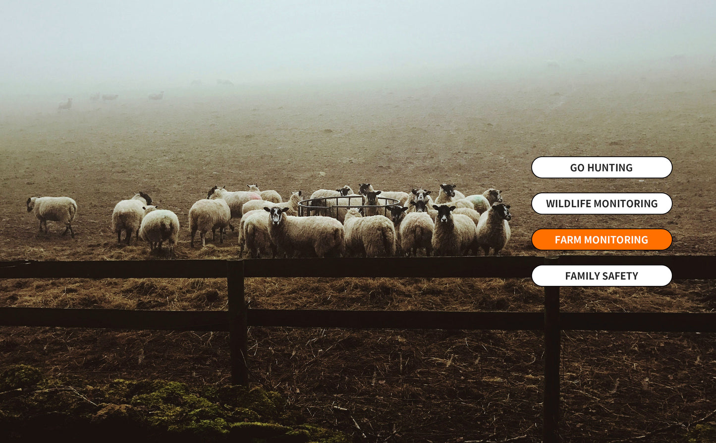 The Solar 4G AI Trail Camera DNNinCam IV-TC21