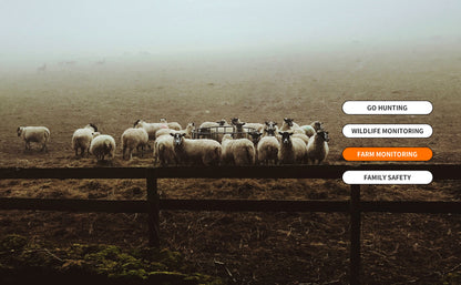 The Solar 4G AI Trail Camera DNNinCam IV-TC21