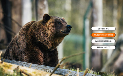 The Solar 4G AI Trail Camera DNNinCam IV-TC21
