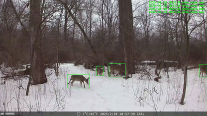 The Solar 4G AI Trail Camera DNNinCam IV-TC21