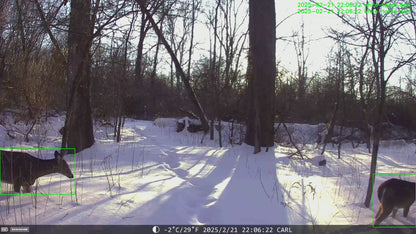 The Solar 4G AI Trail Camera DNNinCam IV-TC21