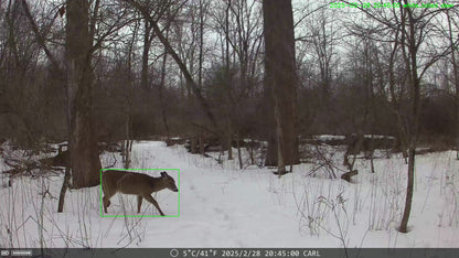 The Solar 4G AI Trail Camera DNNinCam IV-TC21